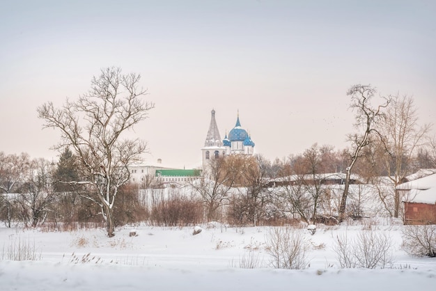 Chiesa della Natività della Vergine al Cremlino Suzdal