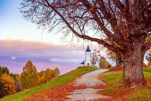 Chiesa Jamnik Slovenia