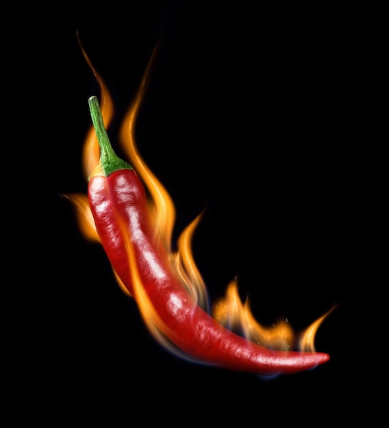 Chili pepper in flame on a black background