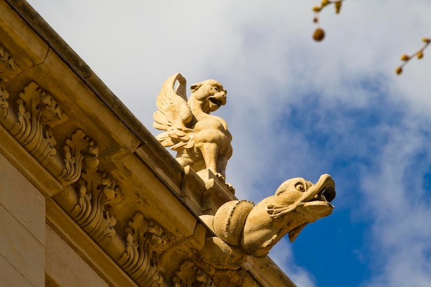 Chimera dalla Spagna