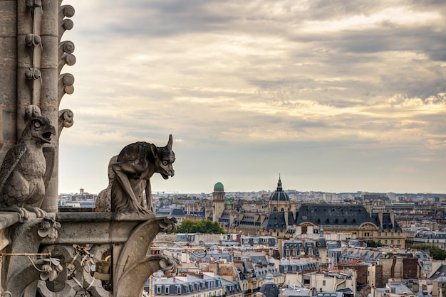 Chimera della Cattedrale di Notre Dame de Paris con vista su Parigi