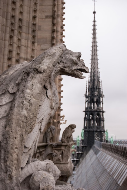 Chimera gargoyle della cattedrale di Notre Dame de Paris con vista su Parigi, Francia