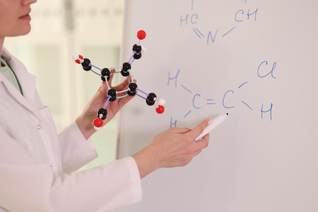 Chimico femminile che tiene il modello molecolare e disegna formule chimiche sulla chimica della lavagna