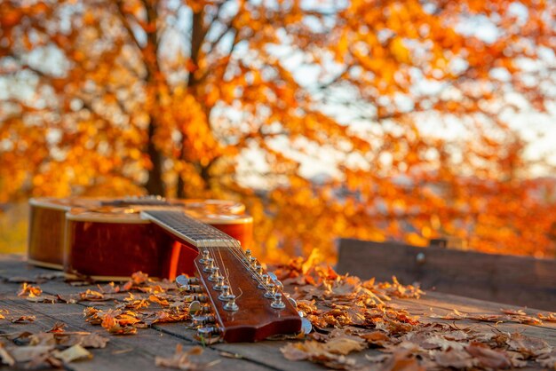 Chitarra appoggiata sul tavolo tra le foglie