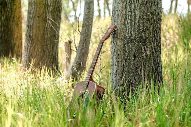 chitarra in natura