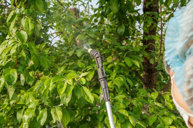 Chiuda in su agricoltore femminile in una tuta protettiva che spruzza alberi di mele