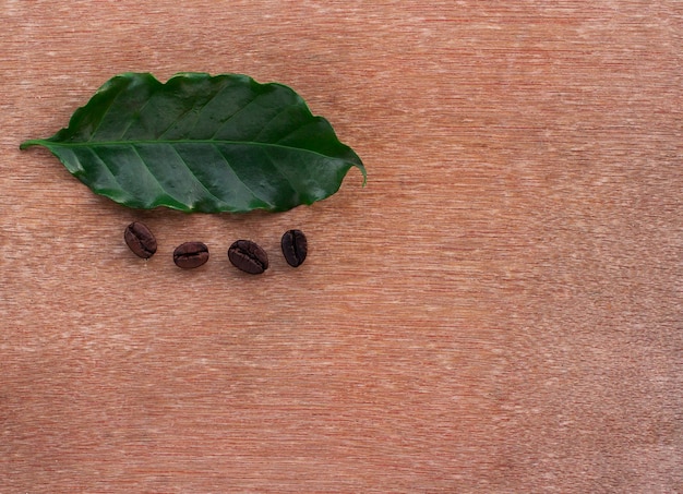 Chiuda in su chicchi di caffè e foglia verde fresca