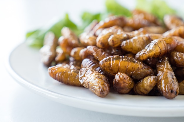 Chiuda in su degli insetti fritti in piatto su priorità bassa bianca.