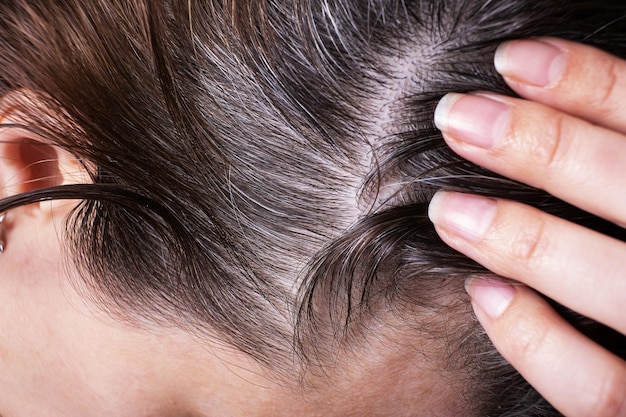 Chiuda in su dei capelli femminili con capelli grigi