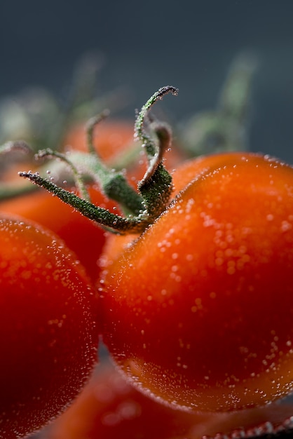 Chiuda in su dei pomodori bagnati freschi isolati