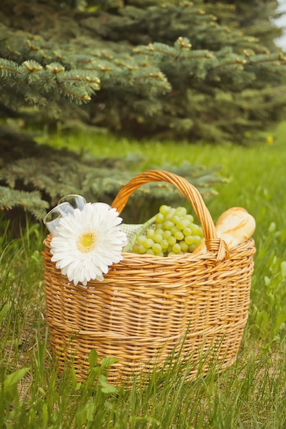 Chiuda in su del cestino di picnic con alimento, frutta e fiore sulla copertura gialla sull&#39;erba verde