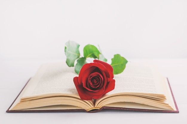 Chiuda in su del fiore della rosa rossa al vecchio libro aperto con il tono dell&#39;annata