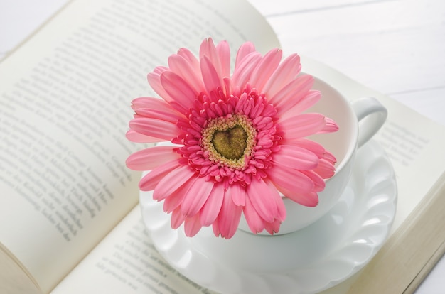 Chiuda in su del fiore dentellare del Gerbera alla tazza bianca