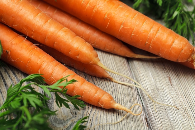 Chiuda in su della carota fresca