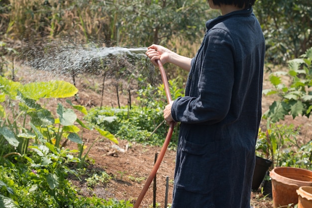 Chiuda in su della pianta di innaffiatura della donna nel suo giardino