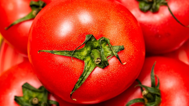 Chiuda in su della priorità bassa dei pomodori del pomodoro rosso maturo