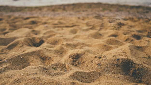 Chiuda in su della spiaggia sabbiosa