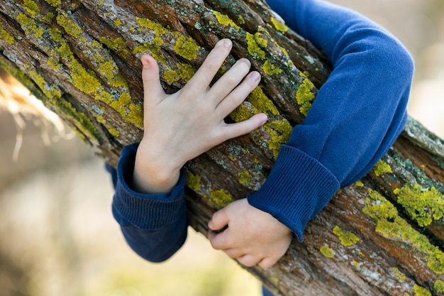 Chiuda in su delle mani del bambino che abbraccia un tronco d'albero.