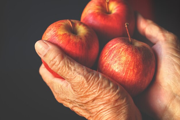 Chiuda in su delle mani della donna anziana che tengono il mazzo di mele Red Delicious organiche.