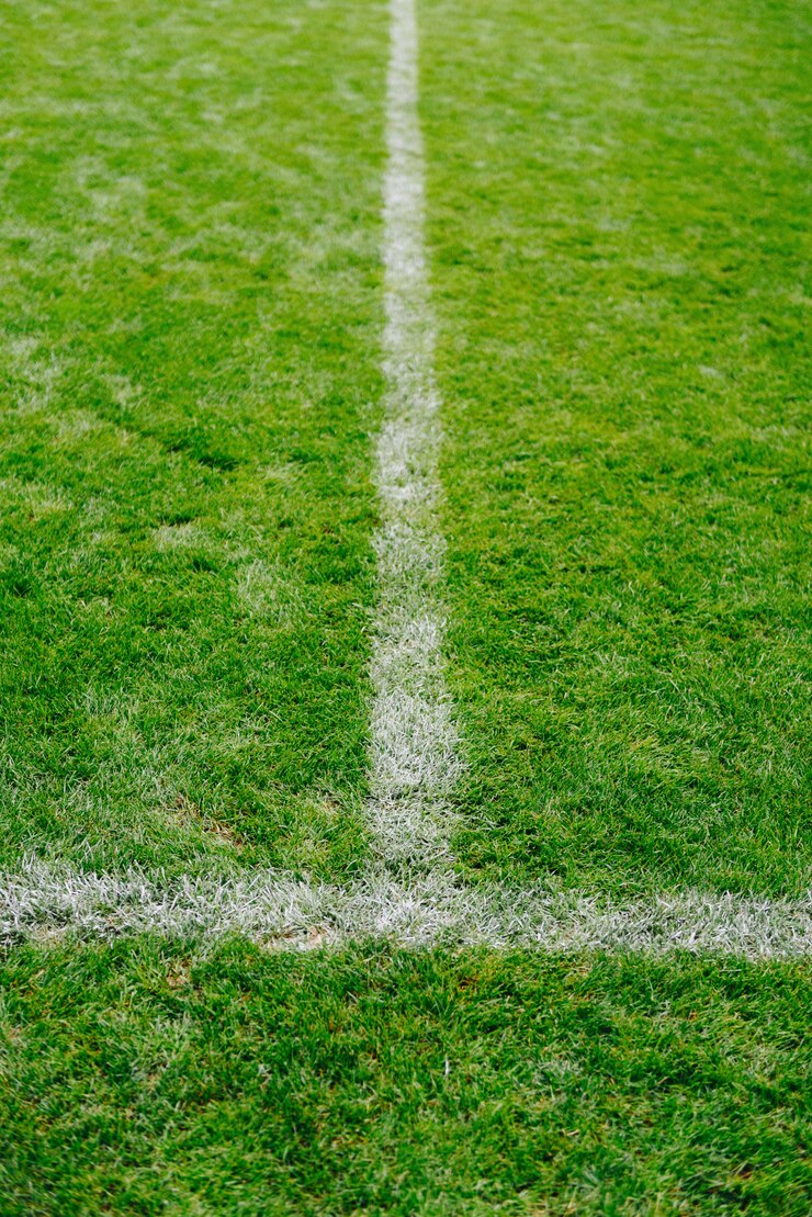 Chiuda in su di erba e segna sul calcio o sul campo di calcio