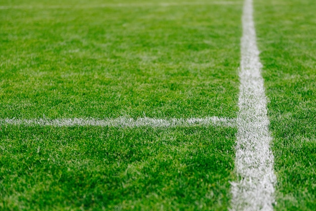 Chiuda in su di erba e segna sul calcio o sul campo di calcio