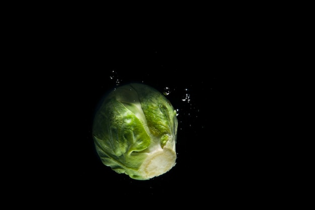 Chiuda in su di un cavoletto di Bruxelles fresco con le gocce dell'acqua