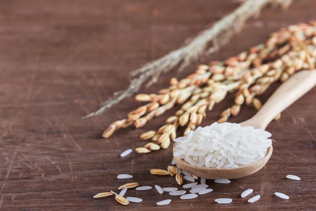 Chiuda in su grano o risone sul tavolo di legno