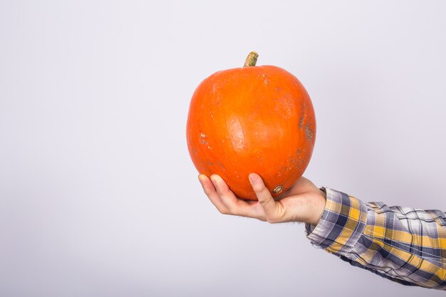 Chiuda su dell'agricoltore che tiene le zucche su uno studio leggero del fondo