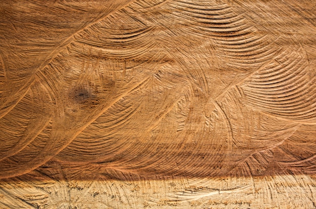 Chiuda su struttura di legno del fondo tagliato della natura del tronco di albero.