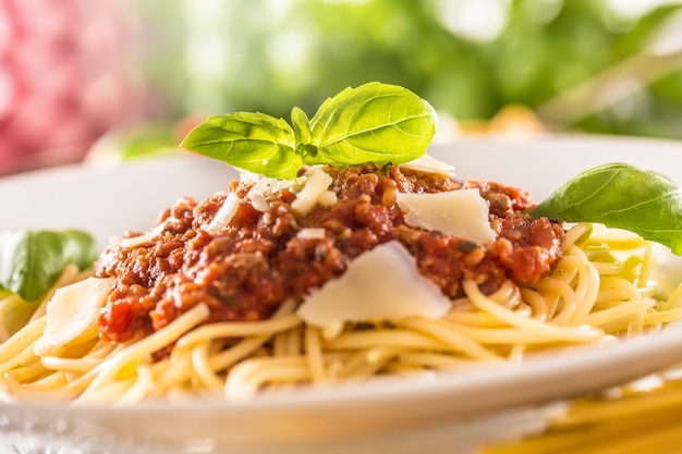 Chiuda sugli spaghetti italiani della pasta alla bolognese nel piatto bianco.