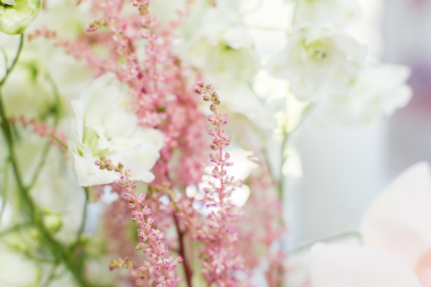 Chiuda sui fiori freschi di astilbe con fondo vago. Decorazione di eventi con fiori freschi