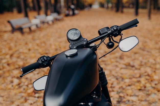 Chiuda sul colpo del motociclo nero con il tachimetro, il manubrio sta nel parco di autunno contro le foglie cadute arancio