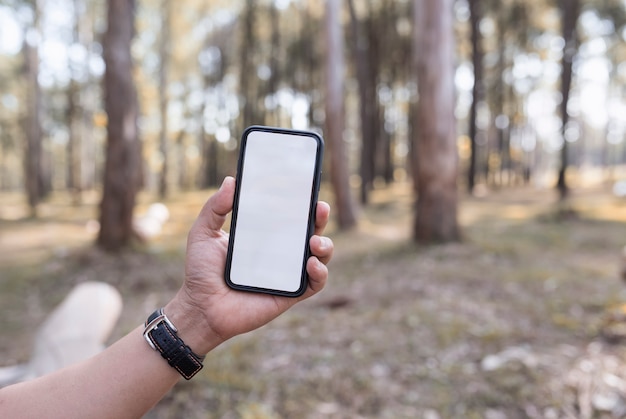 Chiuda sul colpo della mano dell&#39;uomo che tiene smartphone