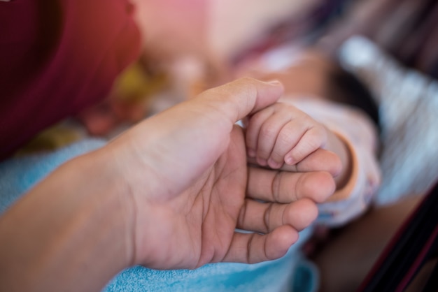 Chiuda sul figlio della mano della holding della madre della mano