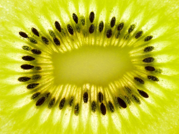 Chiuda sul fondo di struttura Kiwi