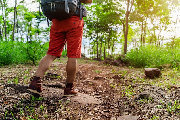 Chiuda sull'escursione dell'uomo con gli stivali di trekking che cammina nella foresta