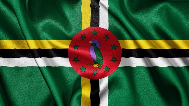 Chiuda sulla bandiera realistica della struttura della Dominica