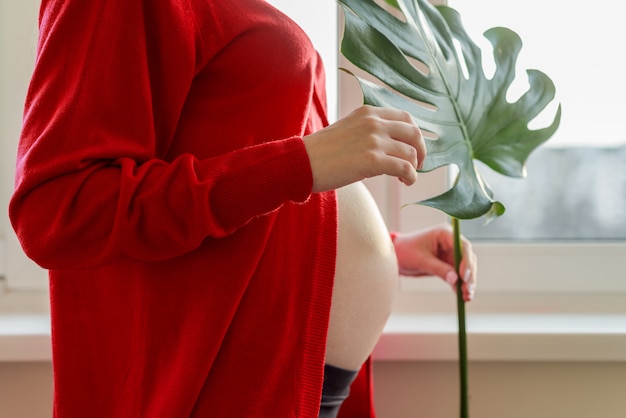 Chiuda sulla pancia della donna incinta con la foglia verde esotica