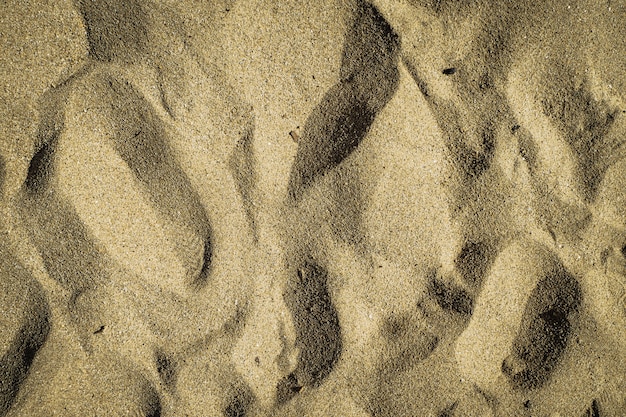 Chiuda sulla struttura della sabbia sulla spiaggia come fondo