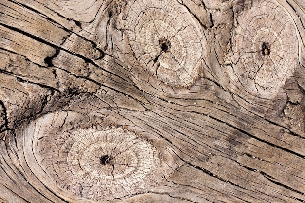 Chiuda sulla vista di una certa vecchia struttura di un bordo di legno.