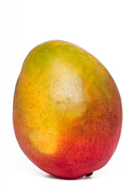 Chiuda sulla vista di una frutta saporita del mango isolata su una priorità bassa bianca.