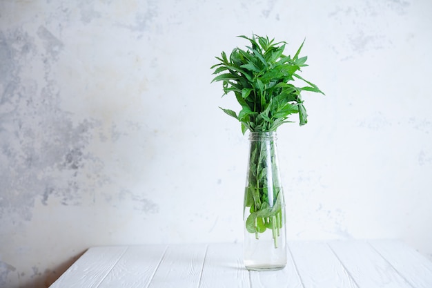 Chiuda sulla vista sul mazzo di menta in una bottiglia del vaso con lo spazio della copia. Concetto di fresco, estate e minimalismo. Interni scandinavi. Erbe fresche su sfondo bianco di cemento