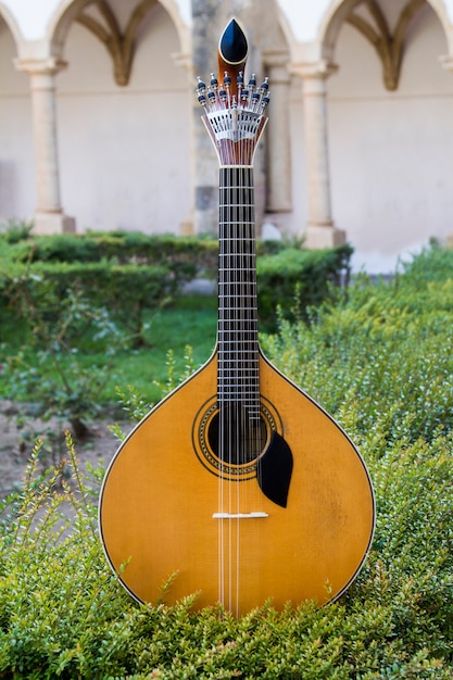 Chiudere la visualizzazione di una chitarra tradizionale portoghese in cima a un giardino organizzato.