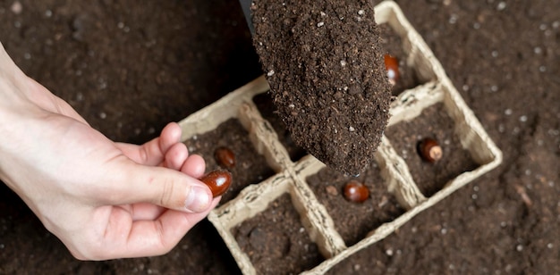 Chiudere le mani di un giardiniere mettere il seme nel terreno b