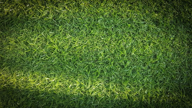 Chiudere un frammento di un campo di calcio con erba artificiale