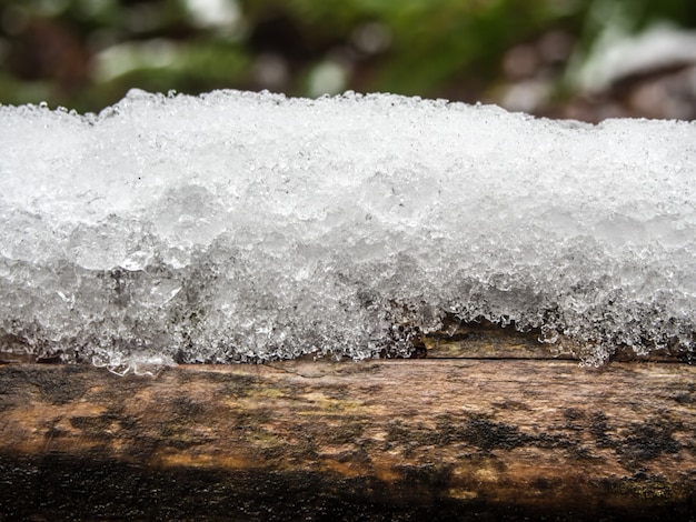 chiuso il ghiaccio dalla neve sul legname