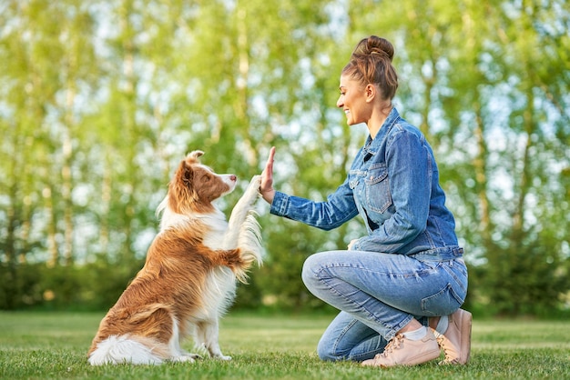 Chocolate White Border Collie con proprietaria donna