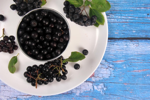 Chokeberry con foglie verdi su piatto bianco, sfondo blu bordo. Aronia nera