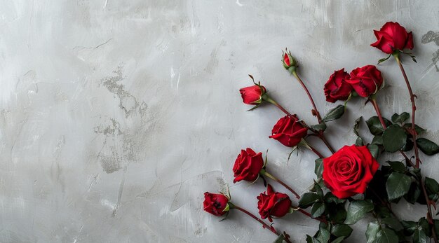 Ci sono molte rose rosse su una parete bianca con foglie verdi generative ai