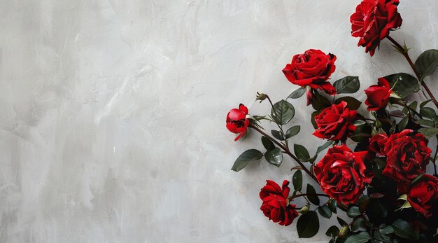 Ci sono rose rosse su una parete bianca con foglie verdi generative ai